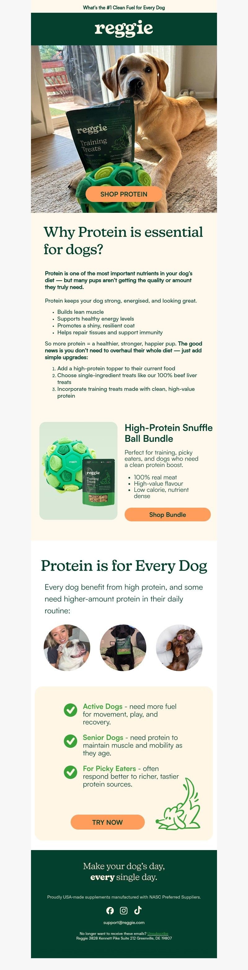 Screenshot of email with subject /media/emails/e5567f33-fae6-4051-b08f-85a55456364c.jpg