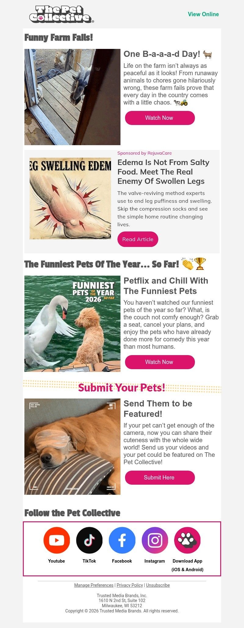 Screenshot of email with subject /media/emails/e6365af8-a6db-4251-909f-9cb940781c17.jpg