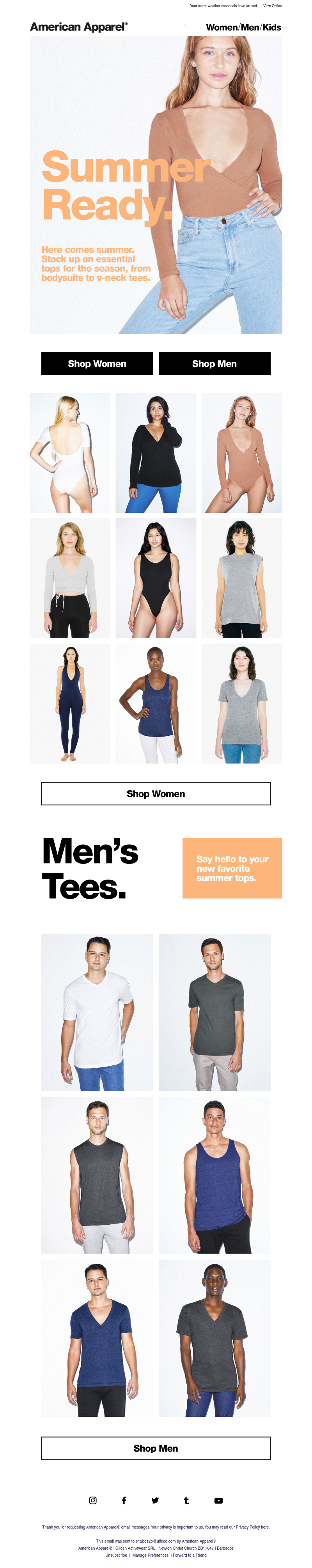 Screenshot of email with subject /media/emails/e66df35e-ad07-4354-a7fe-09b45cf4bac5.png