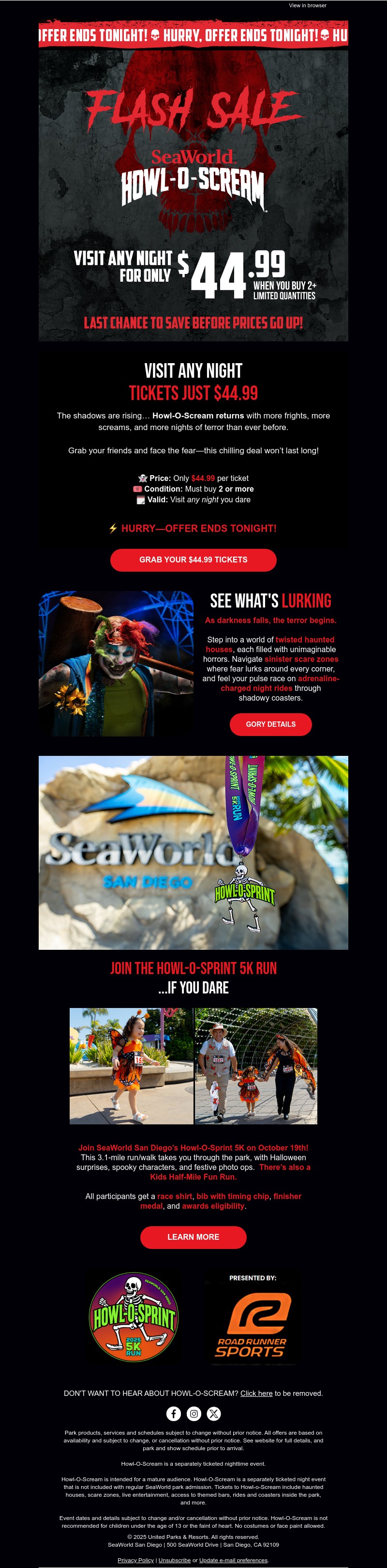 Screenshot of email with subject /media/emails/e695addf-24e1-4edb-9f6c-6ed660f969cc.jpg