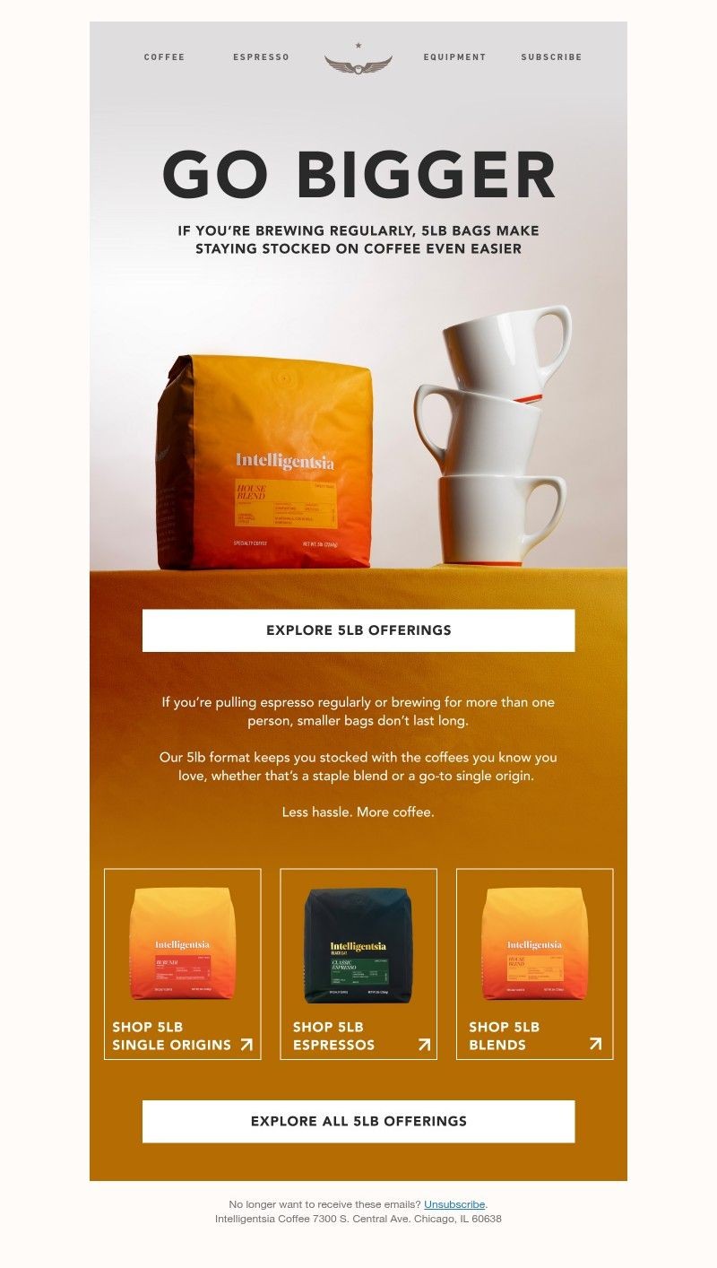 Screenshot of email with subject /media/emails/e70c1641-5bc7-429f-a5d8-f04d76a7179a.jpg