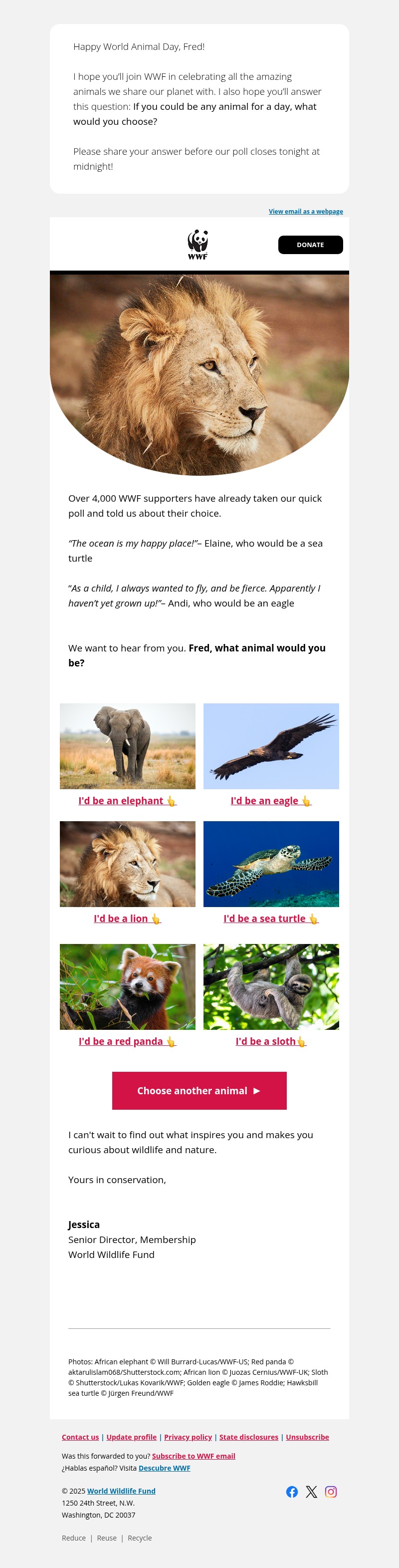Screenshot of email with subject /media/emails/e7b00d55-8793-4211-a0d2-1e124dc67103.jpg