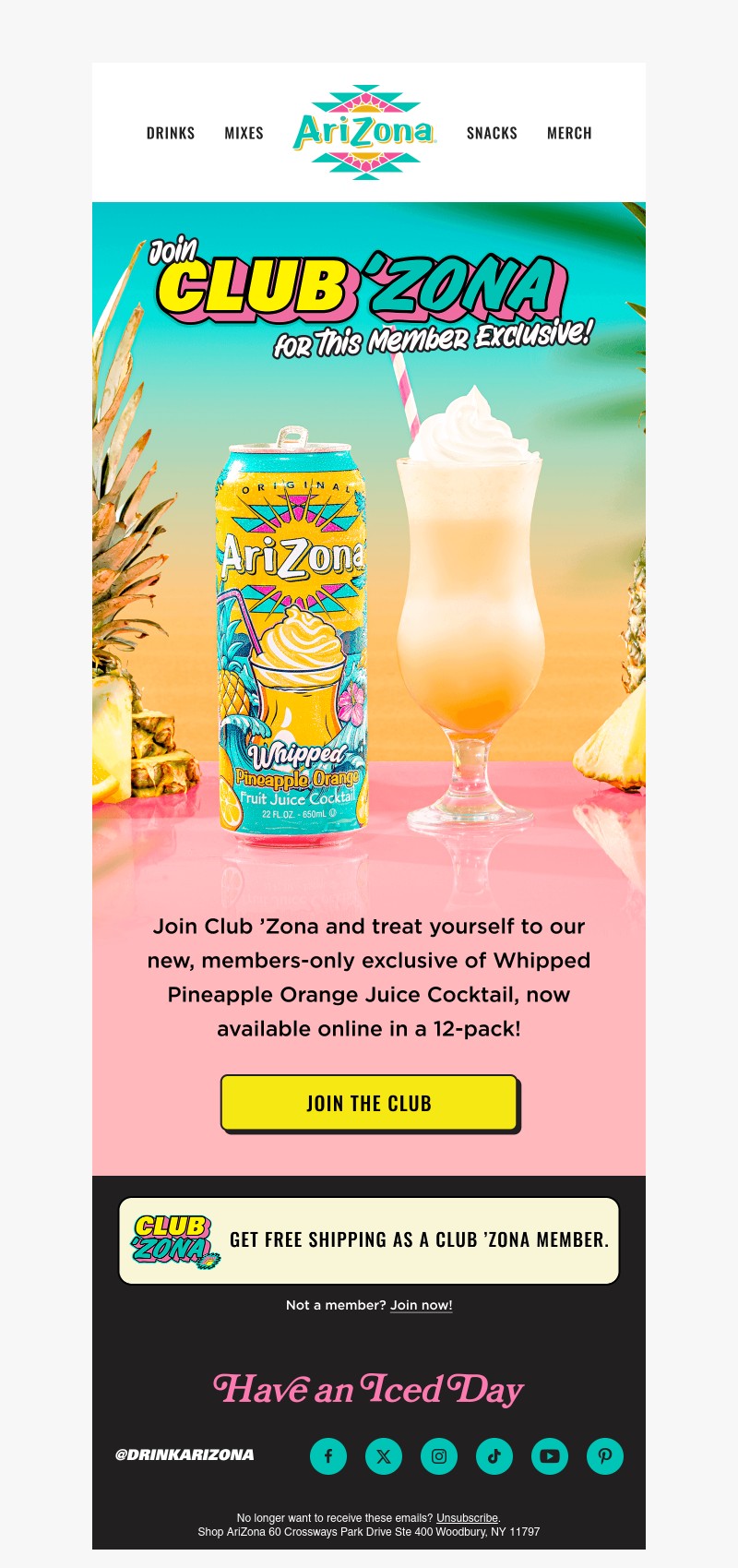 Screenshot of email with subject /media/emails/e809c1b8-9486-4560-b209-ef312d61e956.jpg