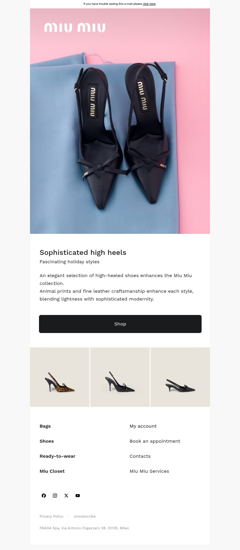 Screenshot of email with subject /media/emails/e81540d4-3ae8-4082-b930-268e35a706b7.jpg