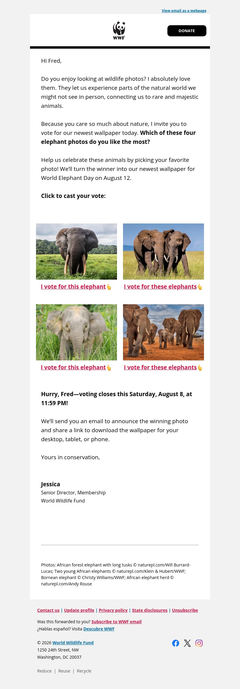 Screenshot of email with subject /media/emails/e858b46b-b819-4827-9009-5f8161f3d4f1.jpg
