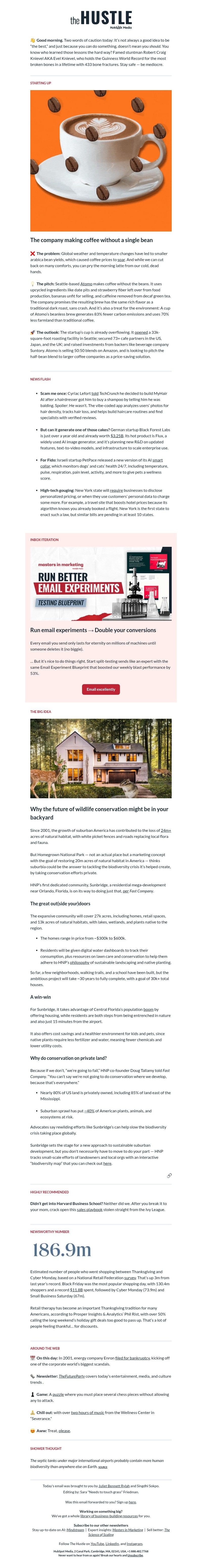 Screenshot of email with subject /media/emails/e870e8ed-5cc2-4a10-a99b-4aa877c5e933.jpg