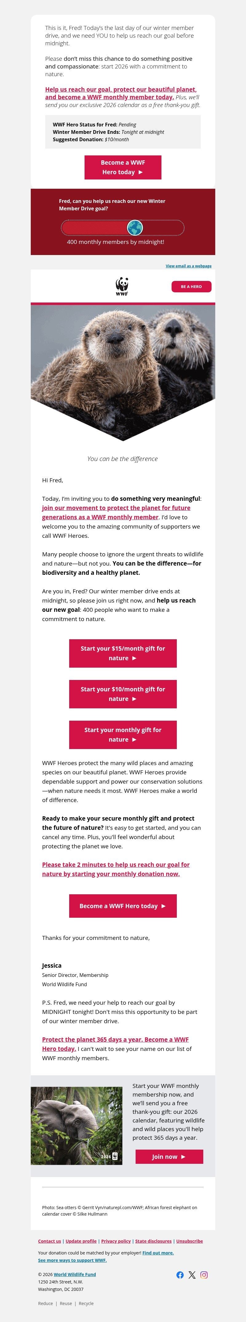 Screenshot of email with subject /media/emails/e873df7a-8dcd-4acc-a146-c7a58693011e.jpg