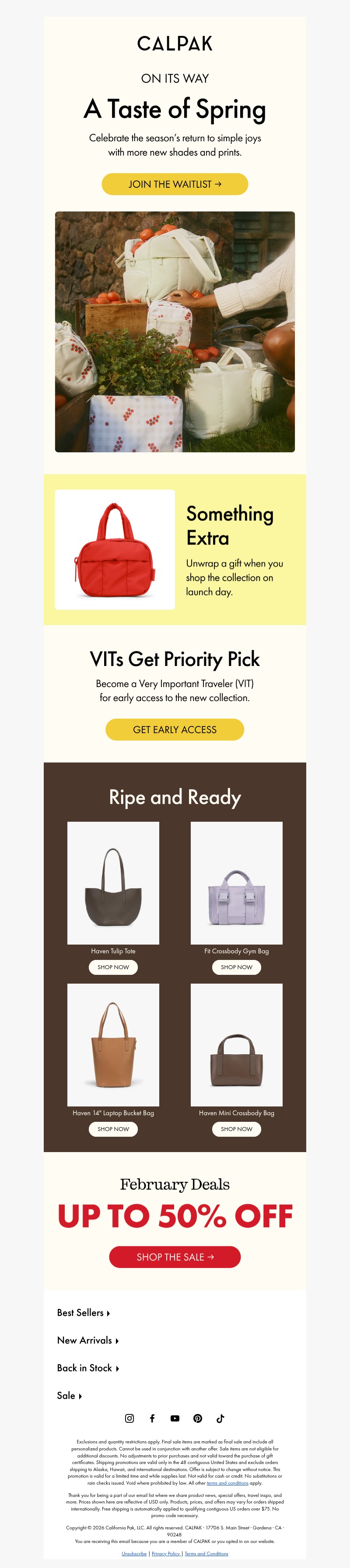 Screenshot of email with subject /media/emails/e8750b4b-f3da-4576-9da6-5d976367a4d2.jpg