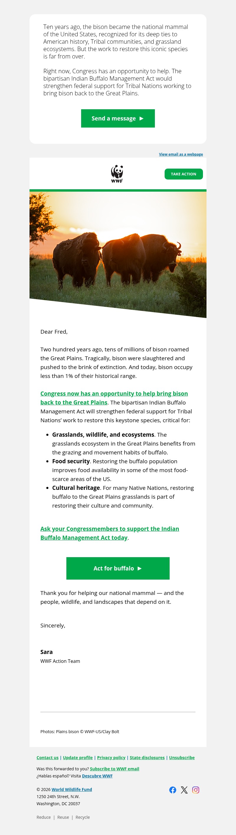 Screenshot of email with subject /media/emails/e90d27e3-e07b-4fa7-be5b-e9d22f04ab15.jpg