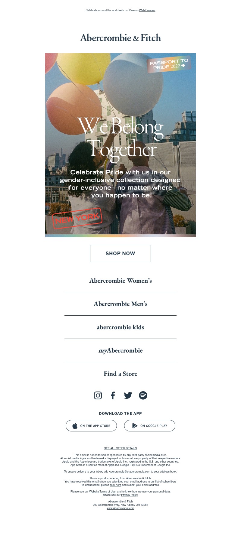 Screenshot of email with subject /media/emails/e9254585-8c53-4da9-b893-7f1503d0a931.jpg