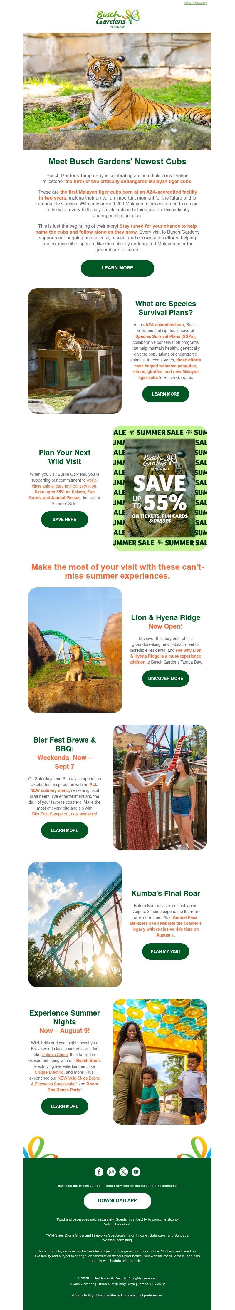 Screenshot of email with subject /media/emails/e992e263-4069-4bc2-a1aa-3ac79982cacc.jpg