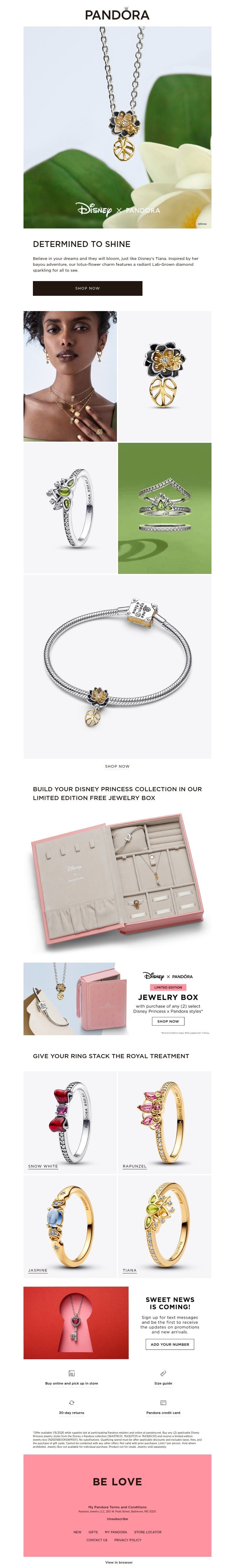 Screenshot of email with subject /media/emails/e9a24b38-dde4-4104-aa78-187e53ef6302.jpg