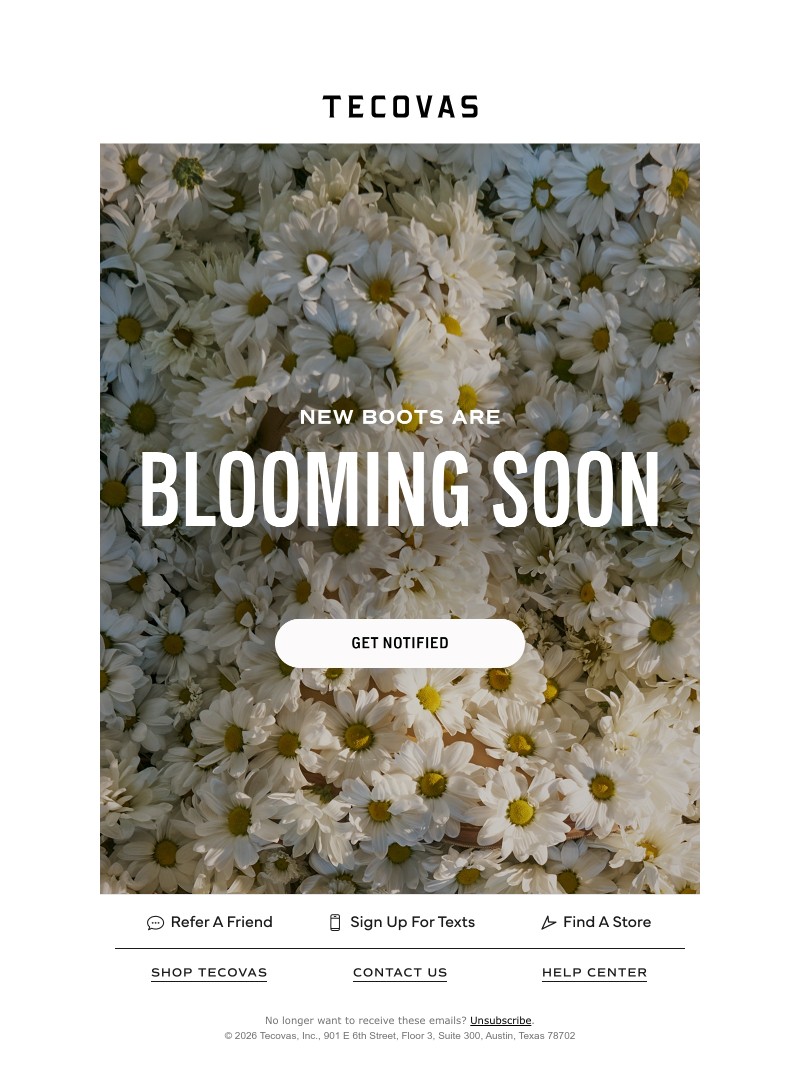 Screenshot of email with subject /media/emails/ea7ea4e2-bc5a-4a18-8e2a-0af354c0c472.jpg