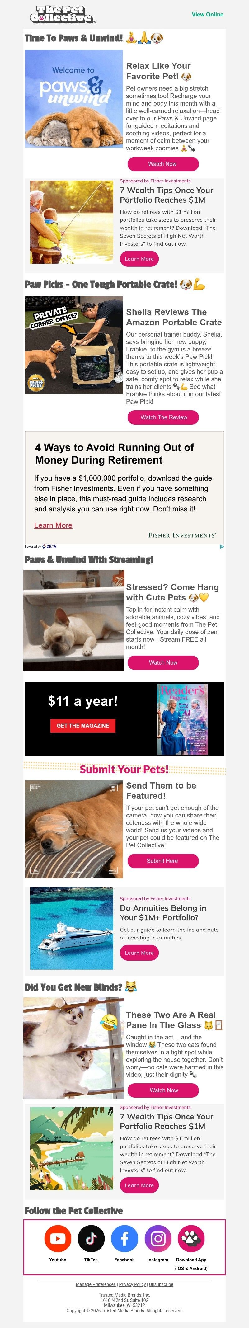 Screenshot of email with subject /media/emails/ea9730a8-db2c-4ead-ba8b-906e022578f2.jpg