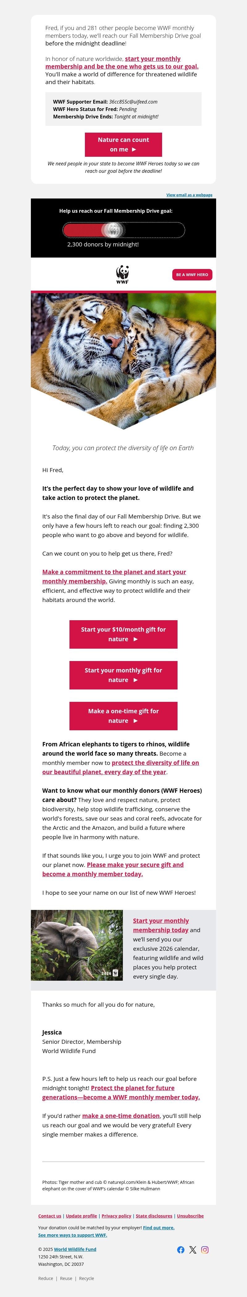 Screenshot of email with subject /media/emails/eaf6b3d9-8d3f-482f-85bf-7604c9eaa8bc.jpg