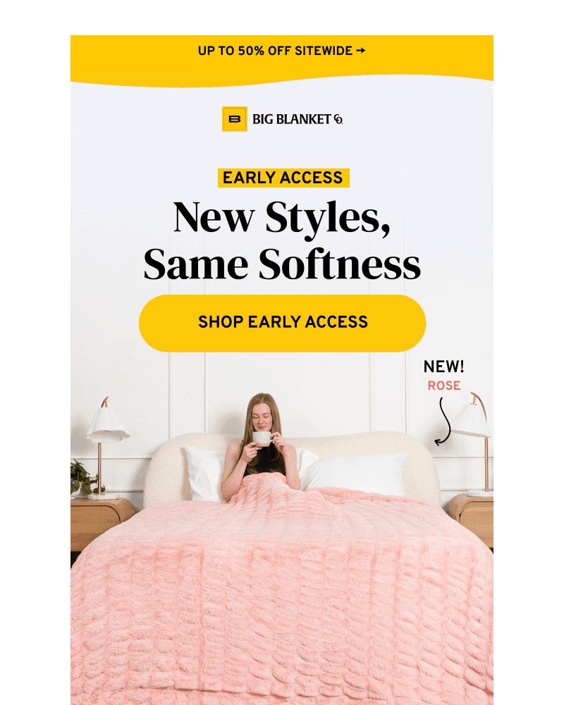 Screenshot of email sent to a Big Blanket Co. Newsletter subscriber