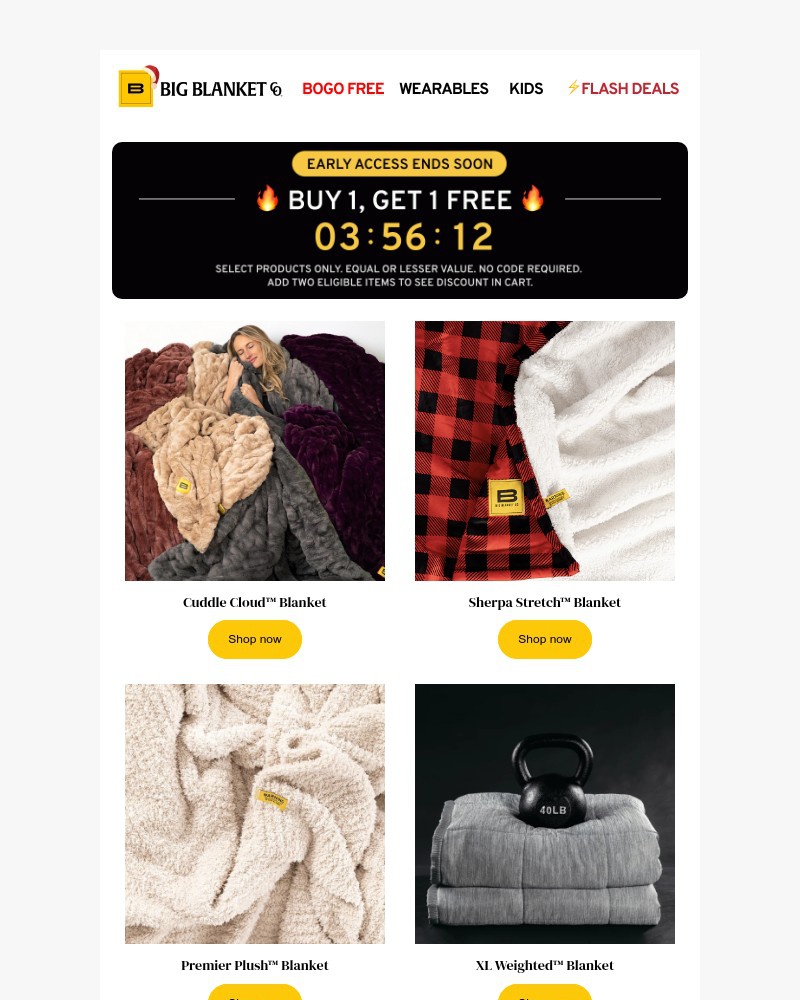 Screenshot of email with subject /media/emails/early-access-ends-soon-a0436b-cropped-a6c8563e.jpg