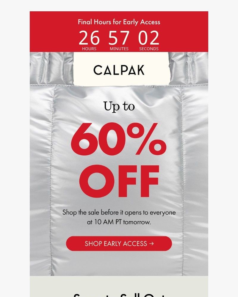 Screenshot of email sent to a Calpak Newsletter subscriber