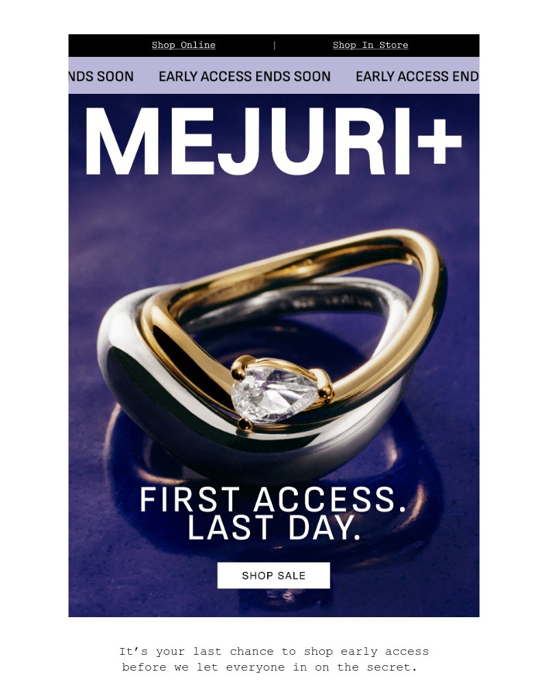 Screenshot of email sent to a Mejuri Registered user