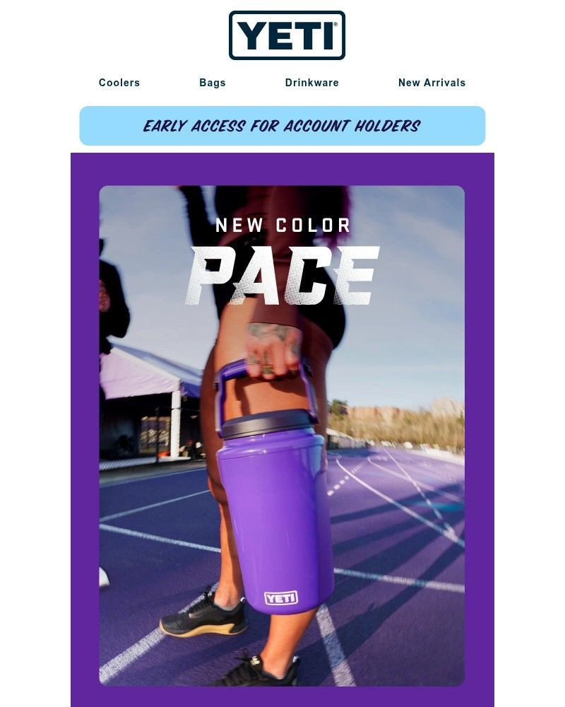Screenshot of email sent to a Yeti Newsletter subscriber