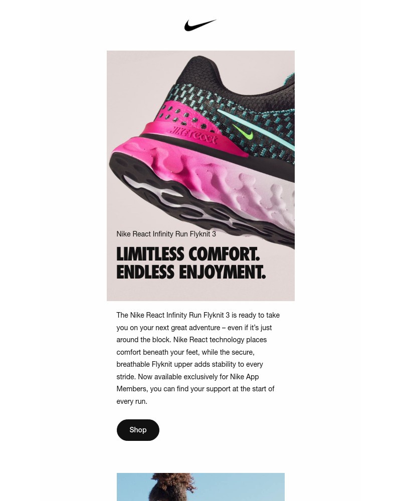 Screenshot of email with subject /media/emails/early-access-nike-react-infinity-3-1f3862-cropped-75463e98.jpg