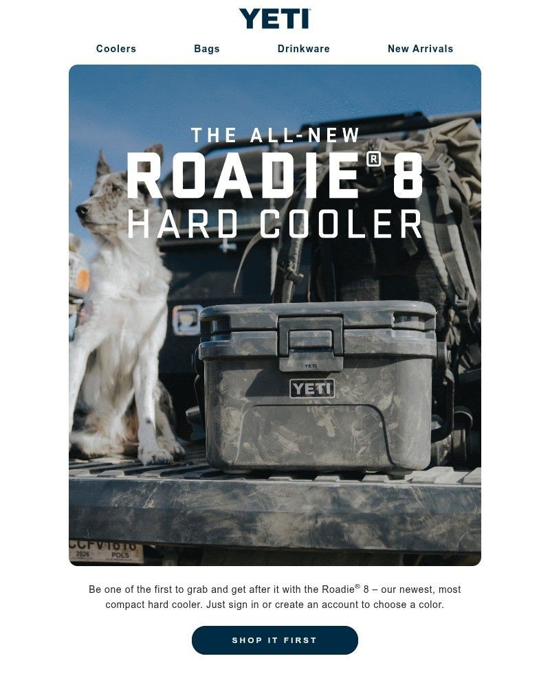 Screenshot of email with subject /media/emails/early-access-the-all-new-roadie-8-hard-cooler-4da923-cropped-f8e0834b.jpg