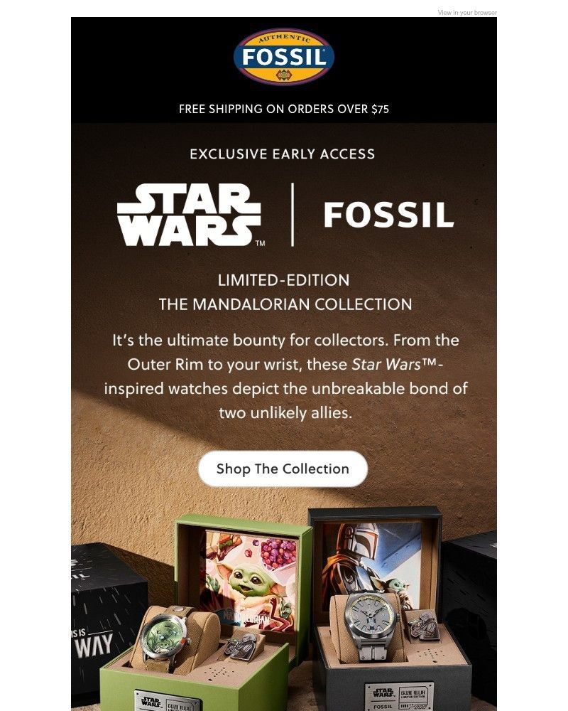 Screenshot of email sent to a Fossil Newsletter subscriber