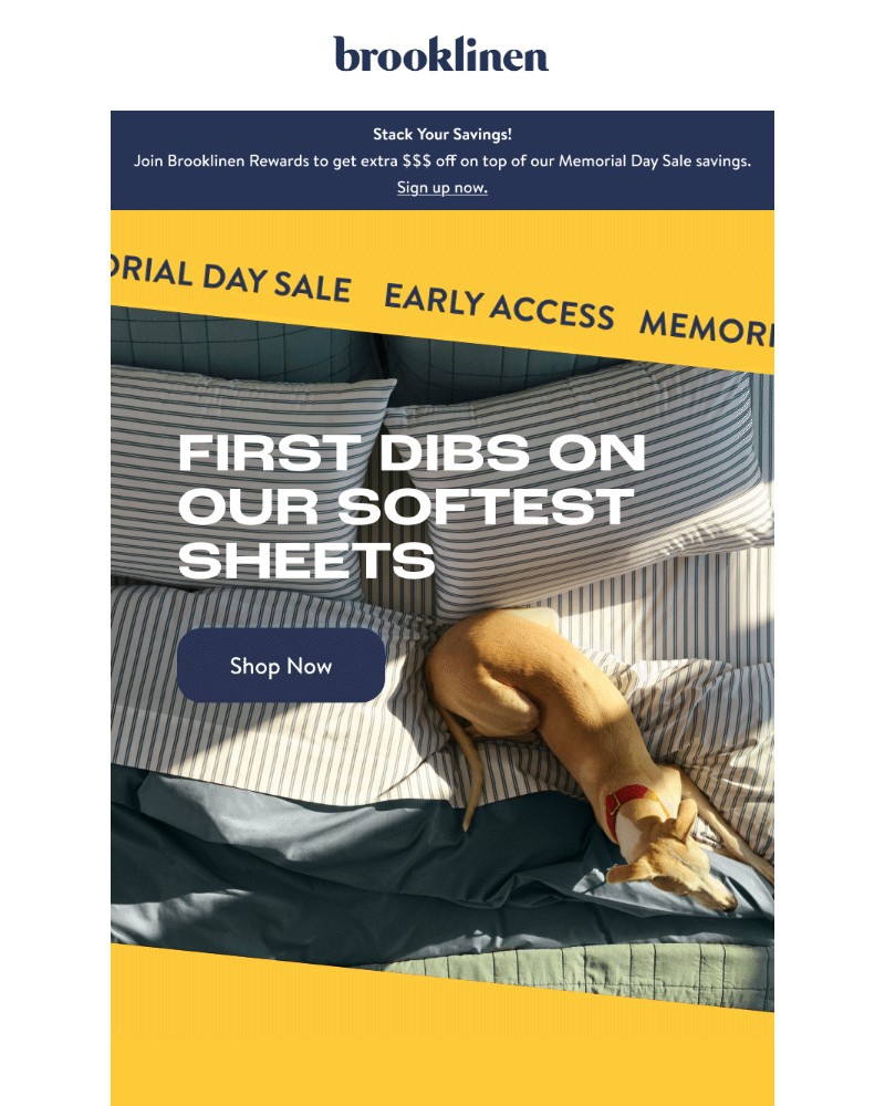 Screenshot of email with subject /media/emails/early-access-to-25-off-long-lasting-sheets-5568a2-cropped-4d53baec.jpg