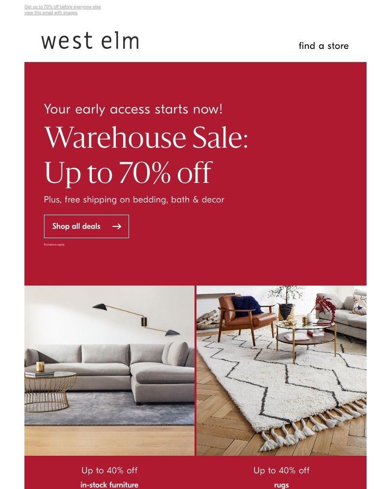 Screenshot of email with subject /media/emails/early-access-to-our-one-day-sale-starts-now-e3d117-cropped-9215c98b.jpg