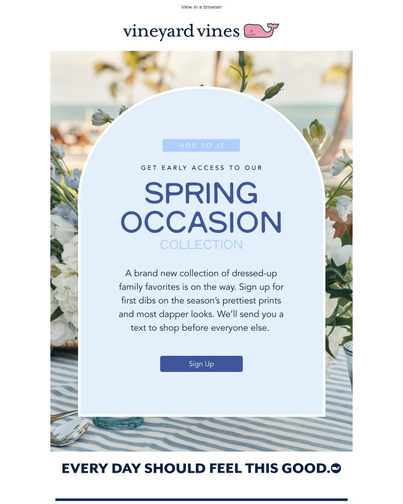 Screenshot of email with subject /media/emails/early-access-to-our-spring-occasion-collection-3ac3e8-cropped-f9b0a788.jpg