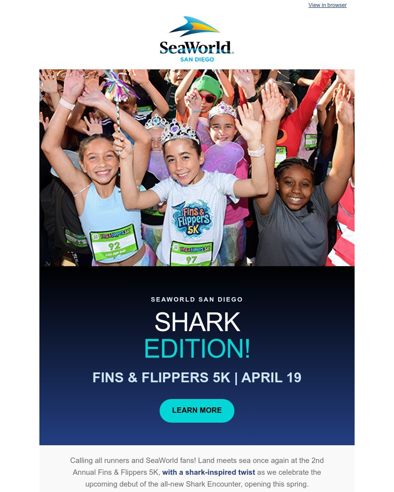 Screenshot of email sent to a Sea World Newsletter subscriber