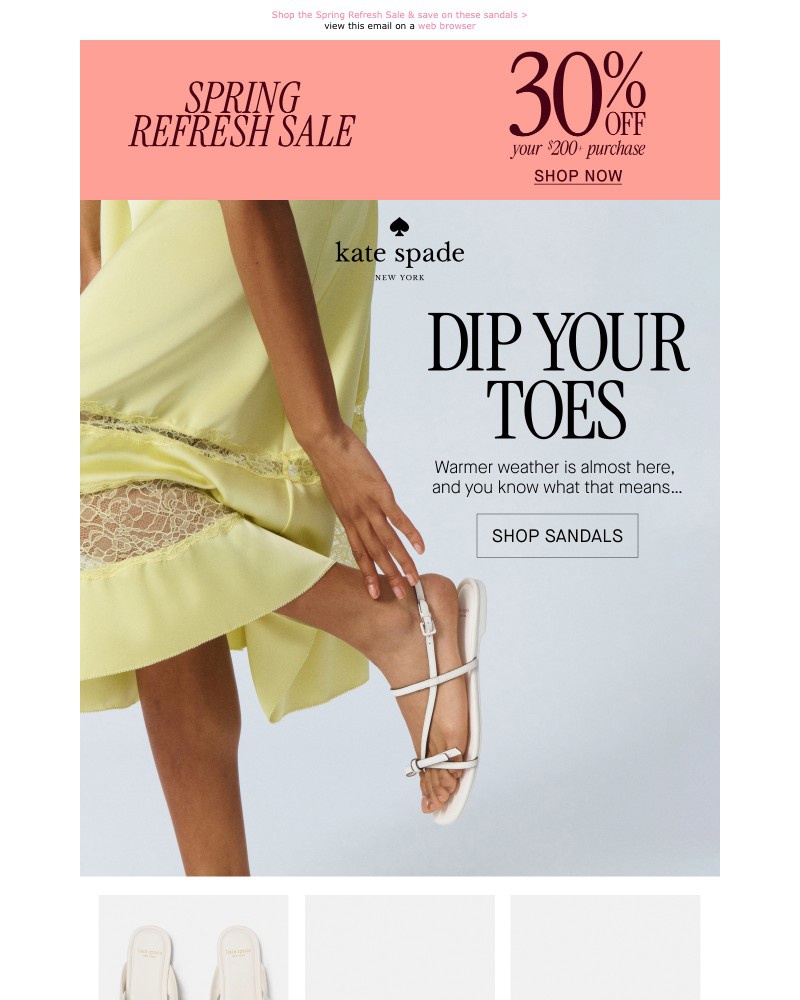 Screenshot of email with subject /media/emails/early-bird-gets30-off-a8c84e-cropped-22d7573c.jpg