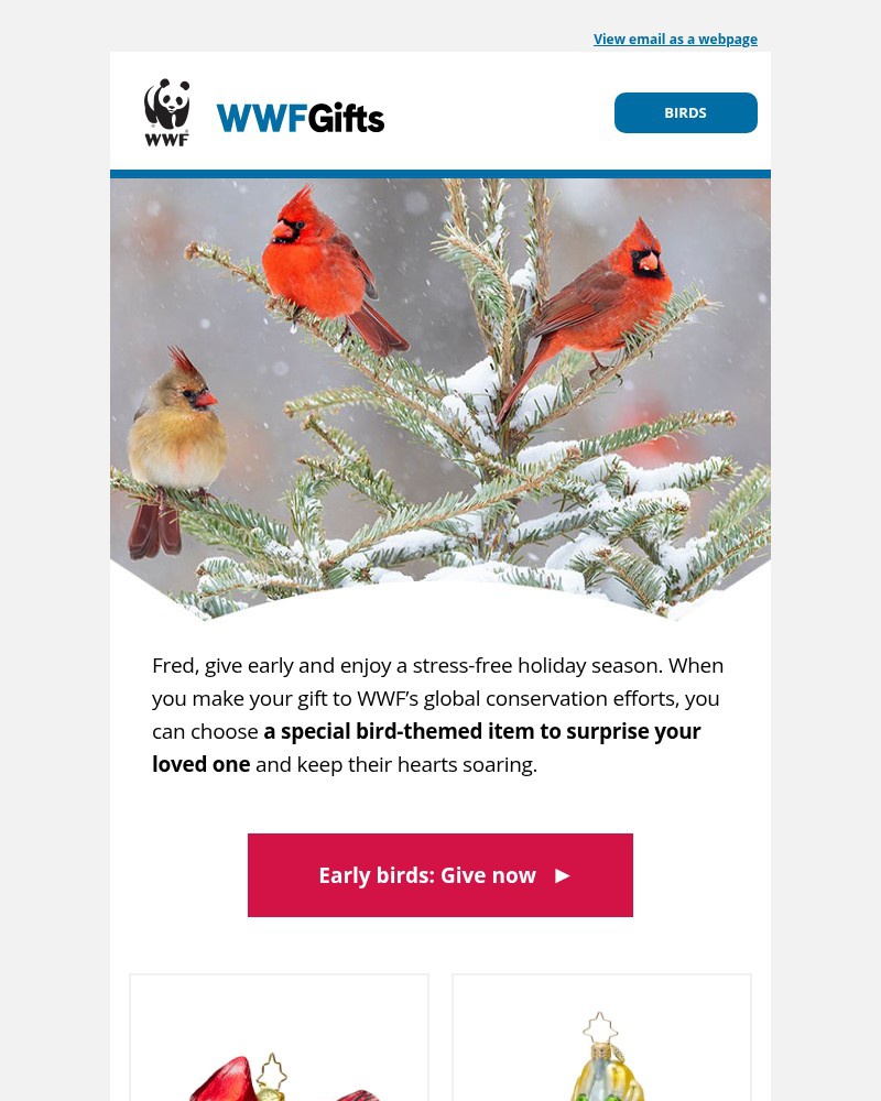 Screenshot of email sent to a World Wildlife Fund Newsletter subscriber