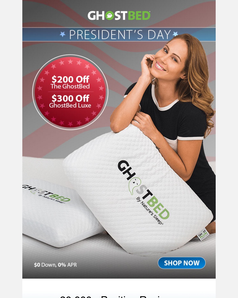 Screenshot of email with subject /media/emails/early-presidents-day-sale-save-up-to-300-2-free-pillows-cropped-c208e989.jpg