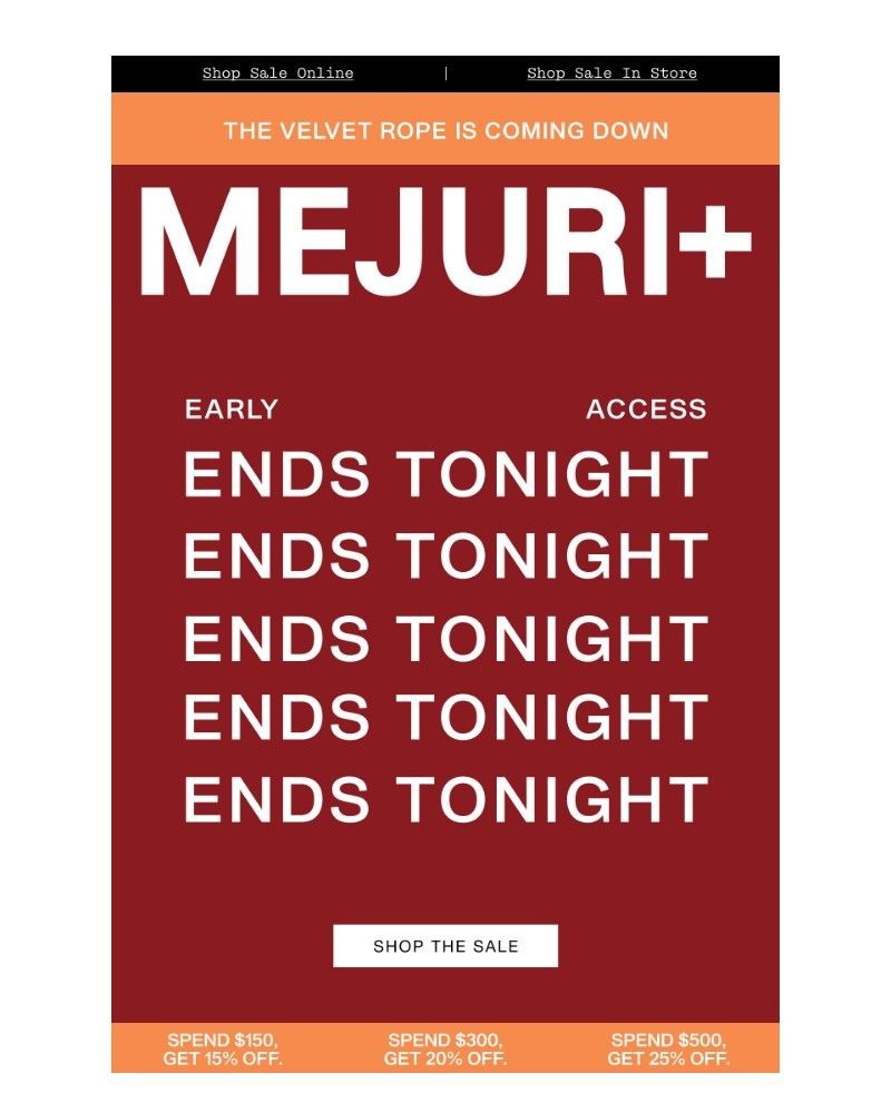 Screenshot of email sent to a Mejuri Registered user