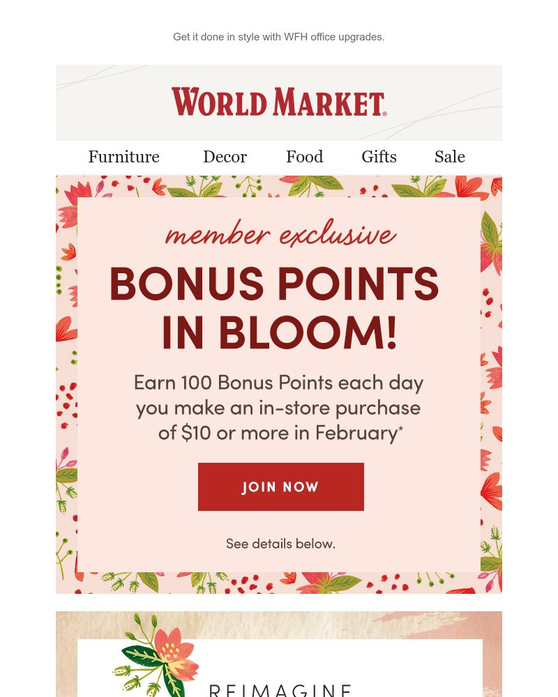 Screenshot of email with subject /media/emails/earn-100-bonus-points-every-day-in-february-a68db8-cropped-ff5898d3.jpg