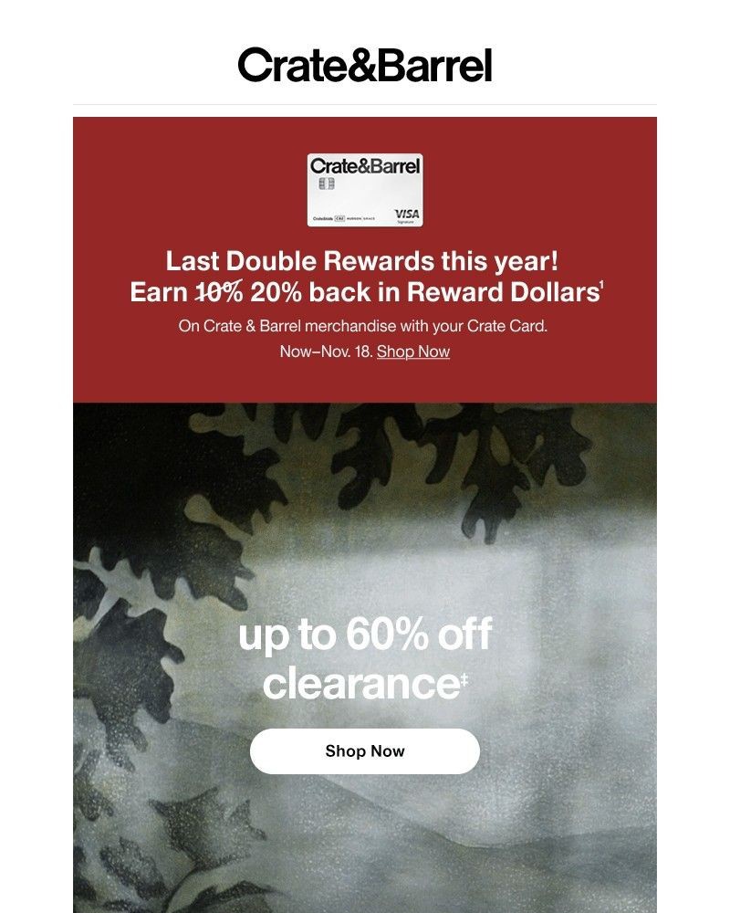 Screenshot of email with subject /media/emails/earn-2x-rewards-on-now-up-to-60-off-clearance-9dab8f-cropped-449a06fe.jpg