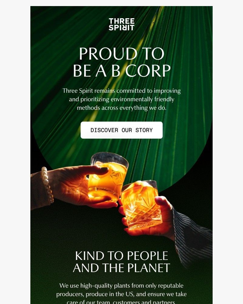 Screenshot of email sent to a Three Spirit Newsletter subscriber