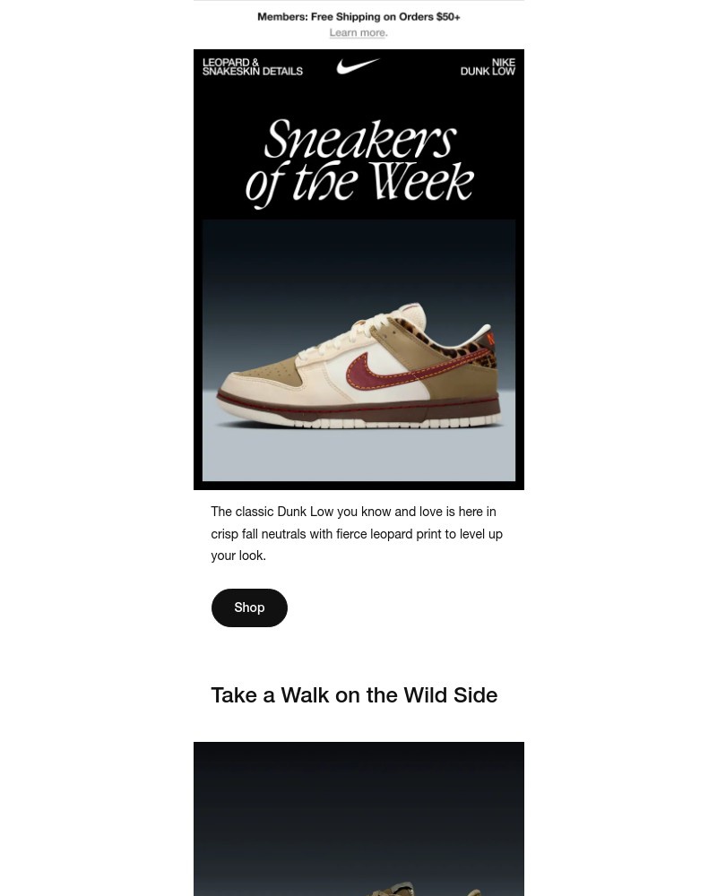 Screenshot of email with subject /media/emails/earthy-tones-meet-bold-animal-prints-3125f3-cropped-dd7f05f0.jpg