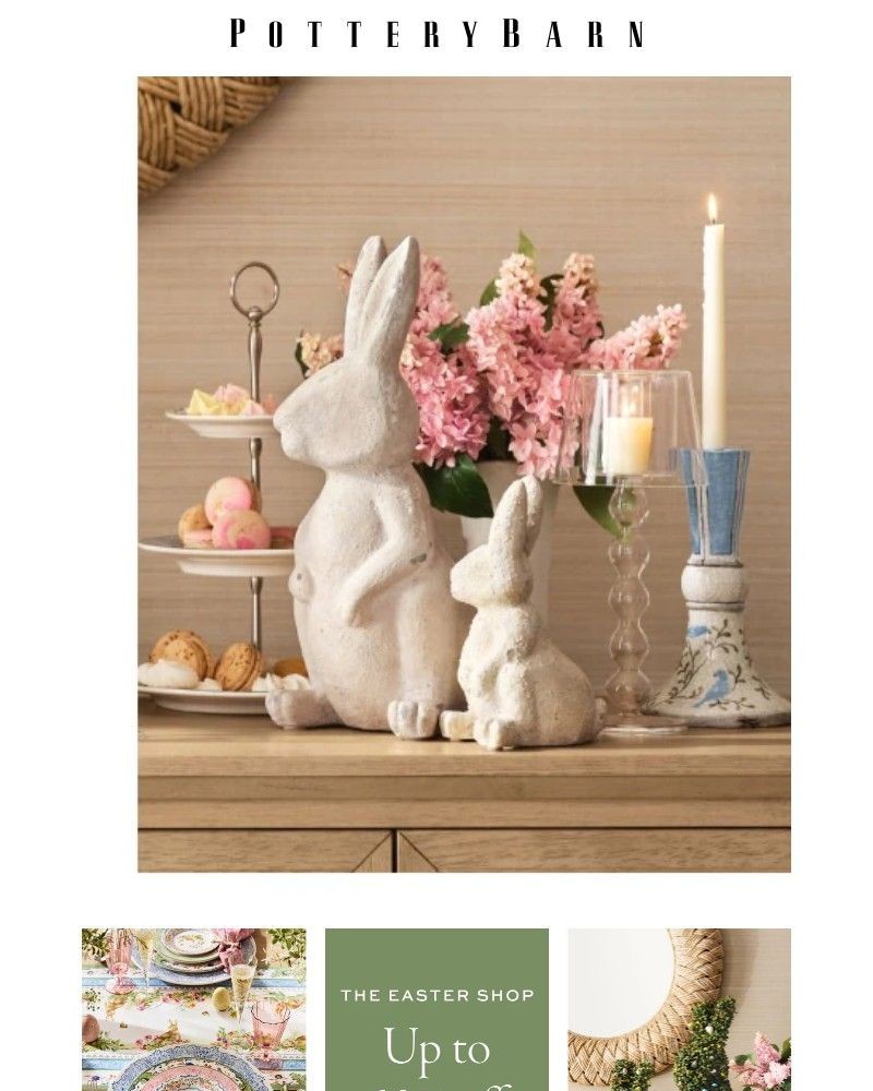 Screenshot of email with subject /media/emails/easter-essentials-are-up-to-50-off-8acd0a-cropped-0fadbe11.jpg