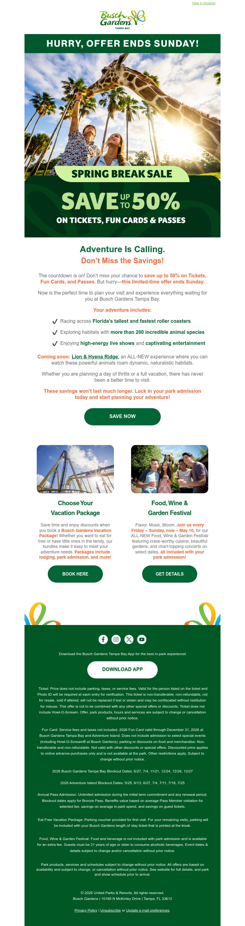 Screenshot of email with subject /media/emails/eb9bed11-c9a7-4916-9356-d004aeff2175.jpg