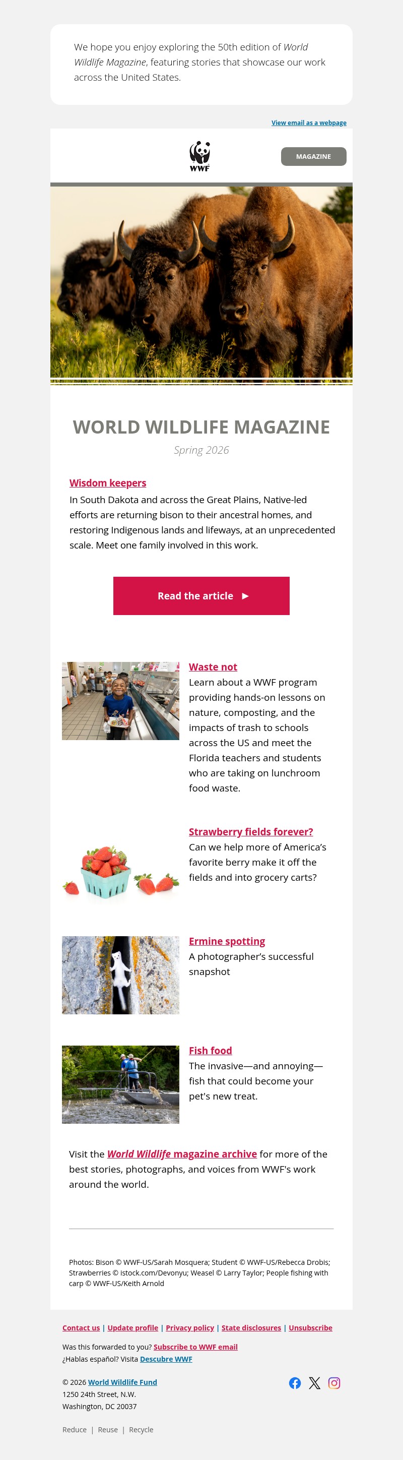 Screenshot of email with subject /media/emails/eba6fc2a-5744-44e7-9595-8a2635aea874.jpg