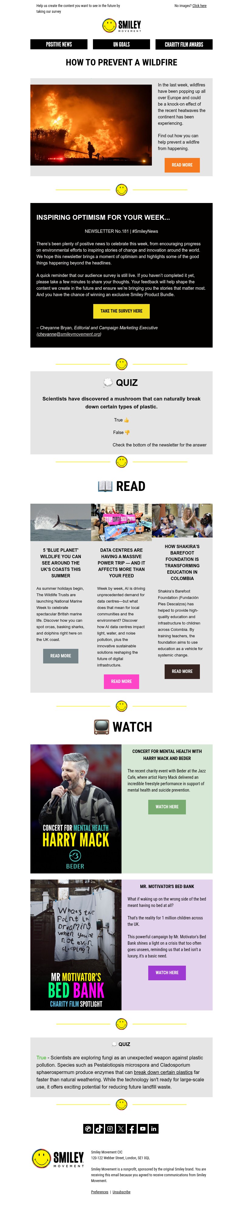 Screenshot of email with subject /media/emails/ec6b1a56-099f-4e8d-baf0-ac71012c5d53.jpg