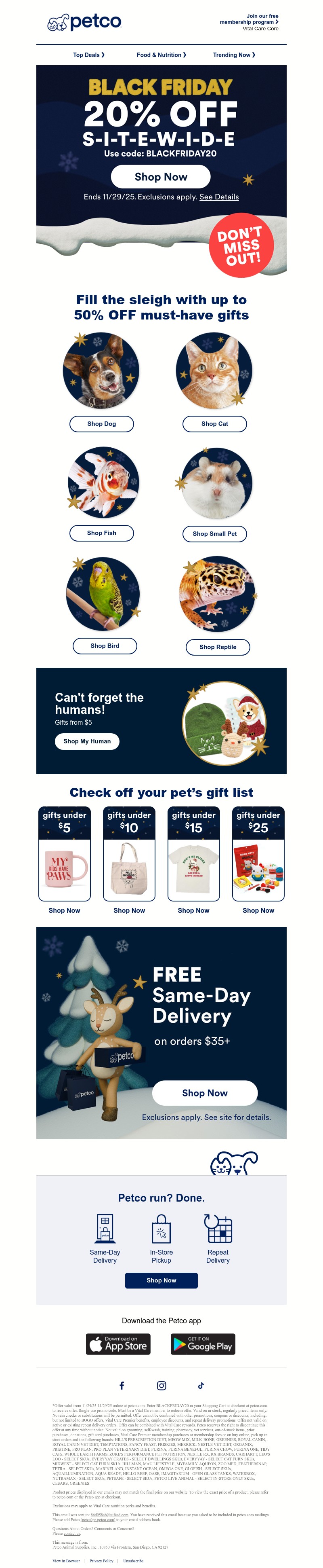 Screenshot of email with subject /media/emails/ec87f6f0-a375-4c2c-8b56-01a51671aa78.jpg