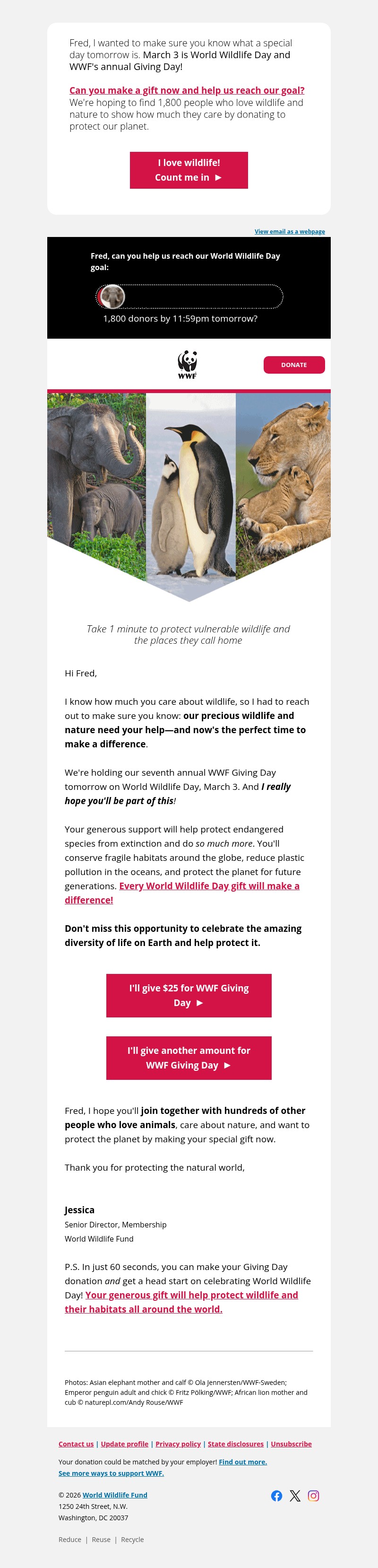 Screenshot of email with subject /media/emails/ecad12d5-b575-498d-bf11-4d485dc9b03a.jpg