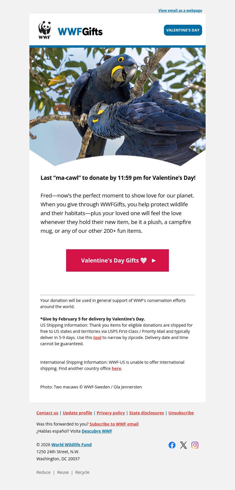 Screenshot of email with subject /media/emails/ece90600-8ce7-4008-accc-809d5556dd84.jpg