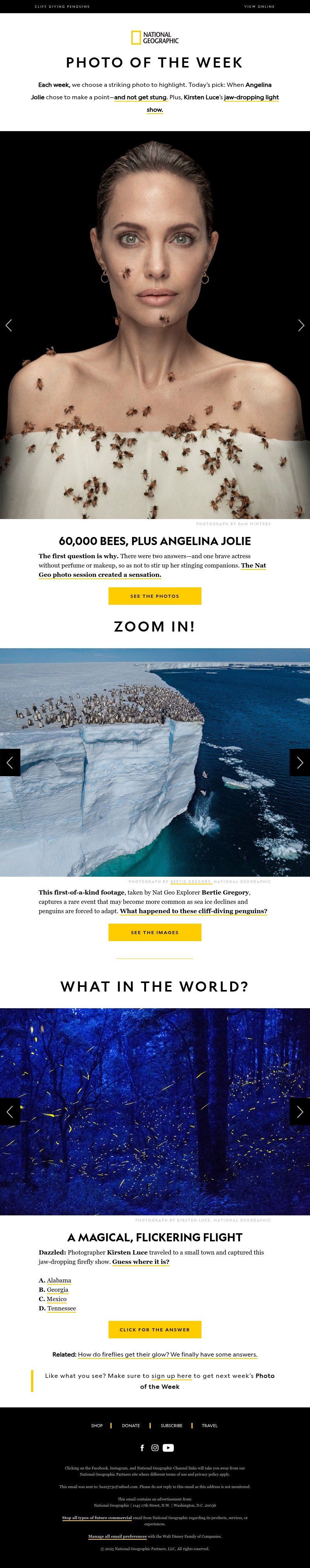 Screenshot of email with subject /media/emails/ed4fa1ff-a4d8-4f52-9ef5-b6925627d480.jpg