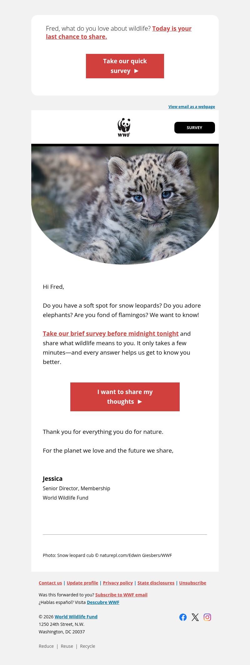 Screenshot of email with subject /media/emails/ed5b0f86-3ba7-4008-a1ca-d325e7a72399.jpg