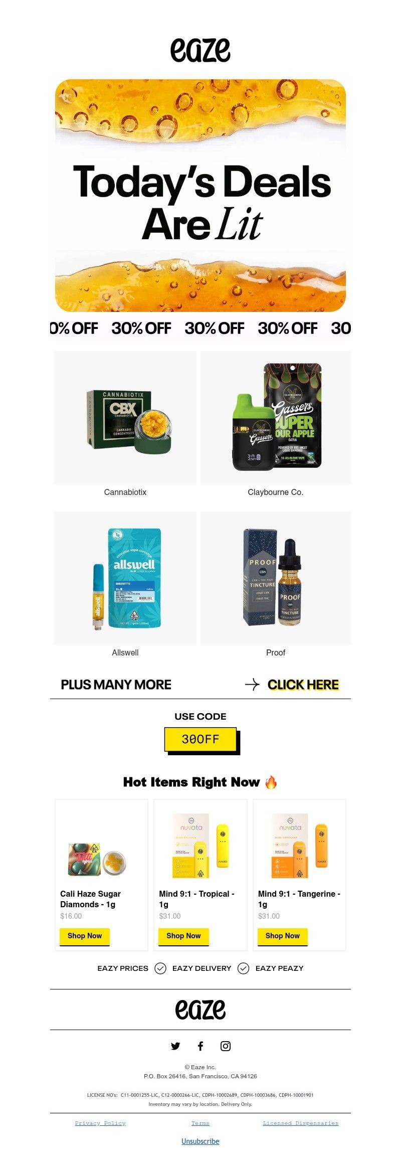 Screenshot of email with subject /media/emails/ed67a8f4-31a5-4a7a-a881-857c6396cda6.jpg