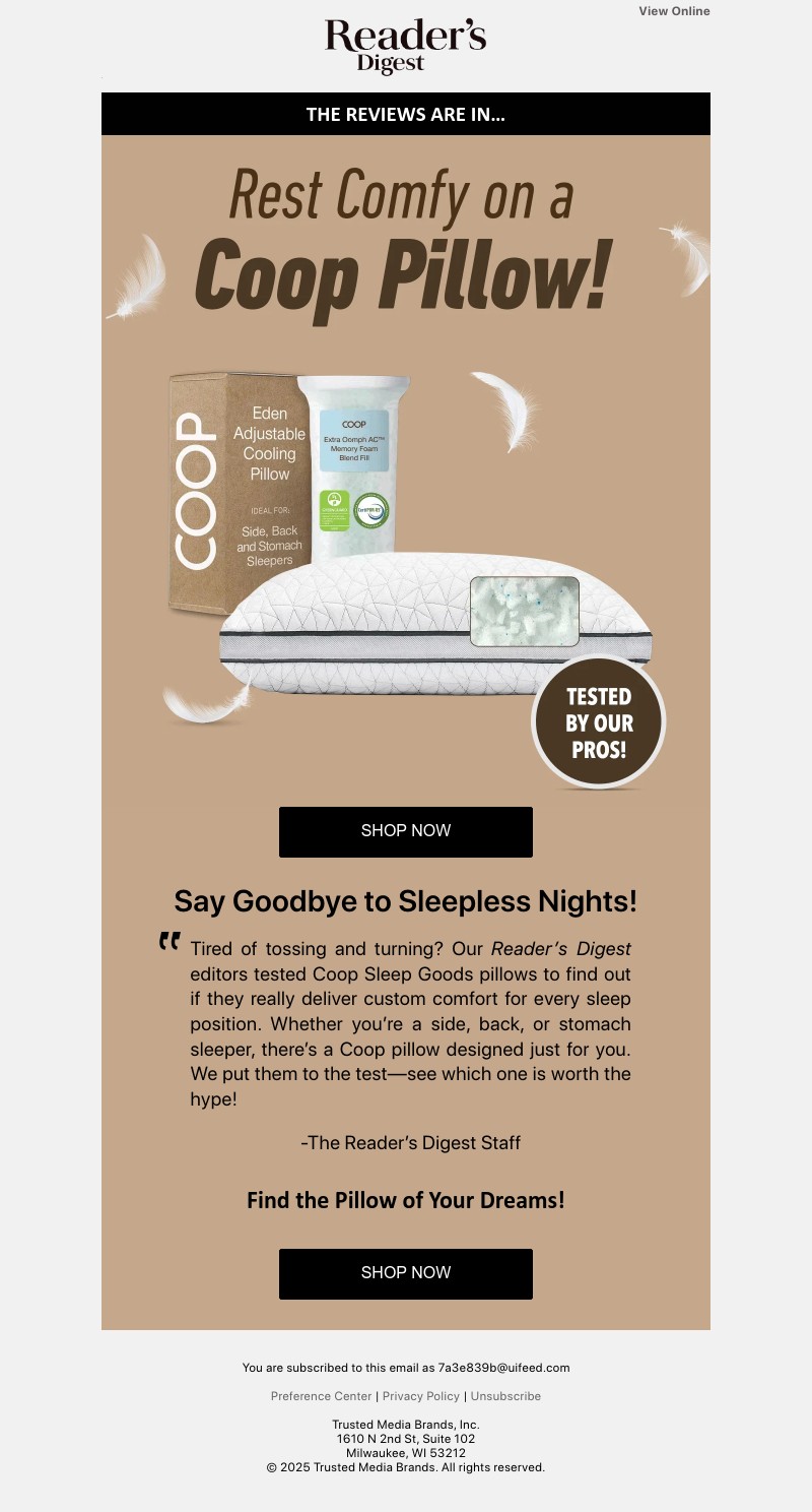 Screenshot of email with subject /media/emails/ed9afab0-7b02-4597-b7eb-76844a7dde7a.jpg